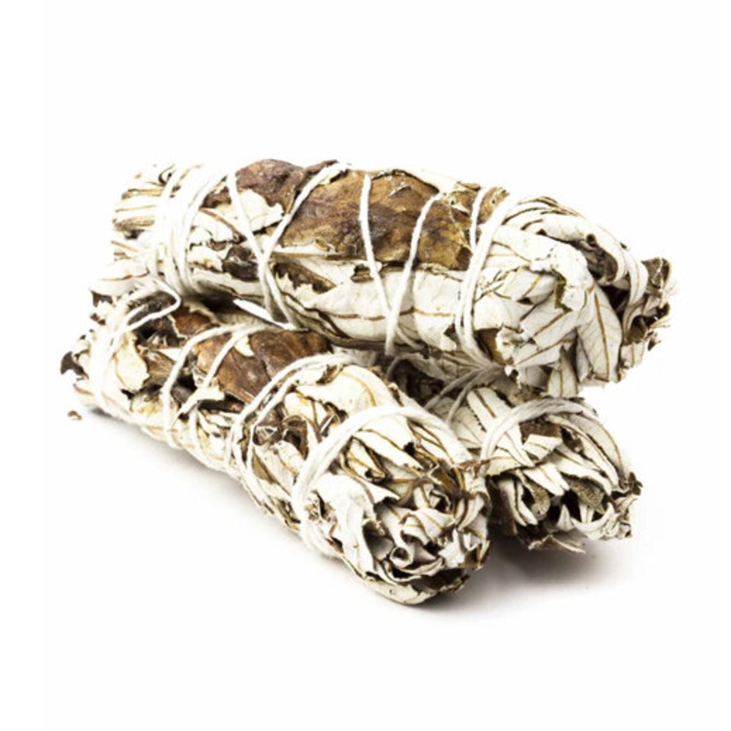 4" Yerba Santa with White Sage (Empowerment - Purification + Growth - Heals Emotional Pain)