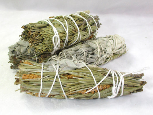 4" Pine with White Sage (Healing - Balance - Protection)